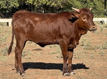 M7 Hydros Red River