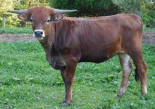 Hicks Juanita 