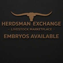 Cowboy Tuff Chex x Cherry Jubilee 78 Female Embryo