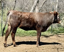 M7 Hydro’s Miss Grande