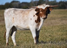 RB Tuff's Generosity 